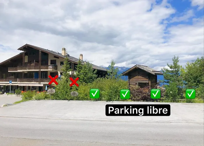 Charmant Studio, 2 Adultes , Centre De Nendaz